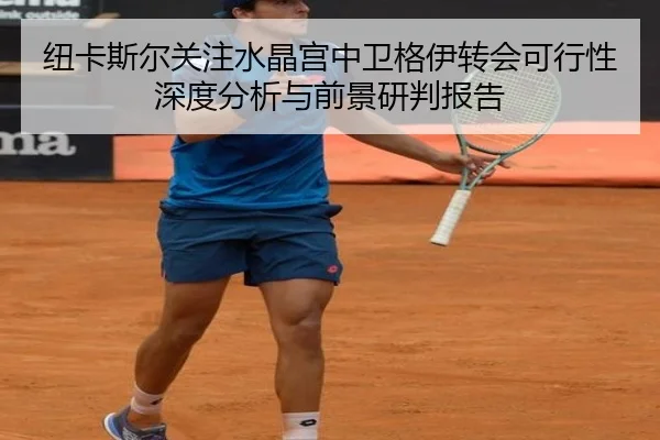 纽卡斯尔关注水晶宫中卫格伊转会可行性深度分析与前景研判报告